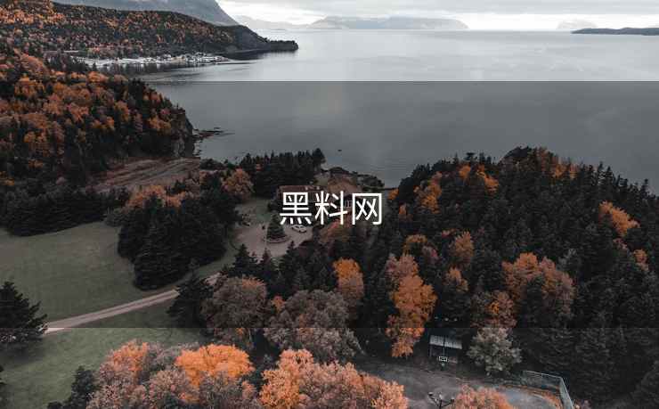 黑料网