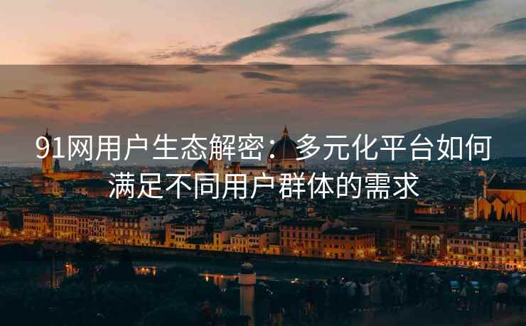 91网用户生态解密：多元化平台如何满足不同用户群体的需求