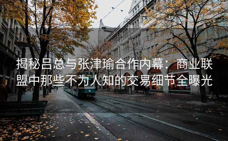 揭秘吕总与张津瑜合作内幕：商业联盟中那些不为人知的交易细节全曝光