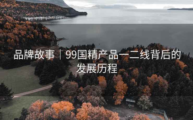 品牌故事｜99国精产品一二线背后的发展历程